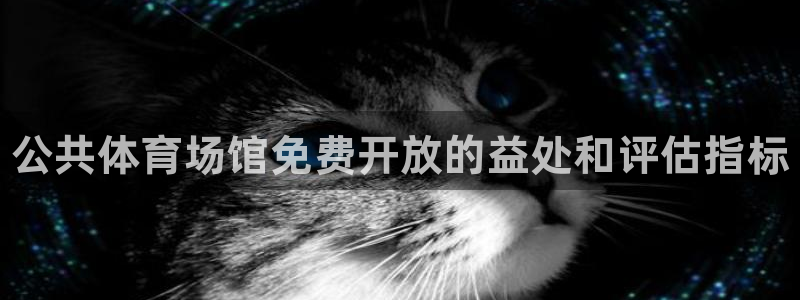 尊龙凯时正规吗：公共体育场馆免费开放的益处和评估指标