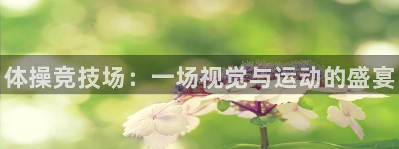 尊龙凯时捕鱼游戏能玩吗