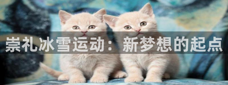 尊龙用现金娱乐一下下载旧