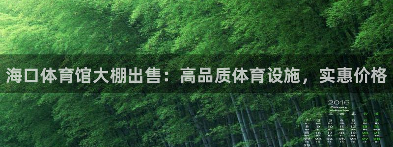 z6com尊龙：海口体育馆大棚出售：高品质体育设施，实惠价格